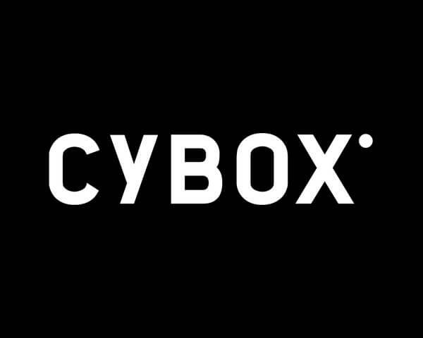 Samen met Cybox uw website maken